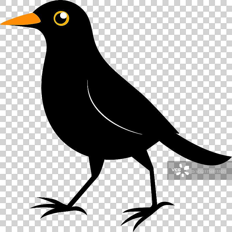 弓头鸫鸟走路图标图片素材