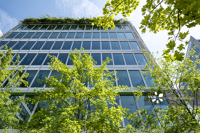 光线穿透绿树与玻璃楼的交错场景图片素材