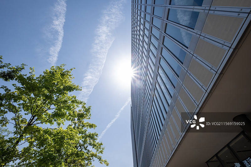 高楼，玻璃，幕墙，阳光，树木，仰视，蓝天，建筑，城市，反光，现代，直线，楼体，窗户，通透，自然，结构图片素材