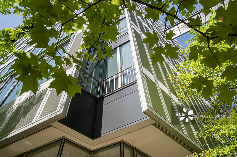 玻璃转角与树叶交汇的建筑细节图片素材