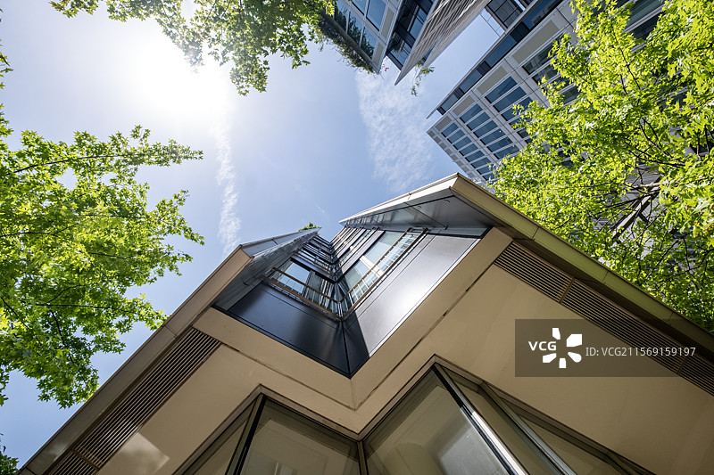 现代高层建筑转角与蓝天树影交融图片素材