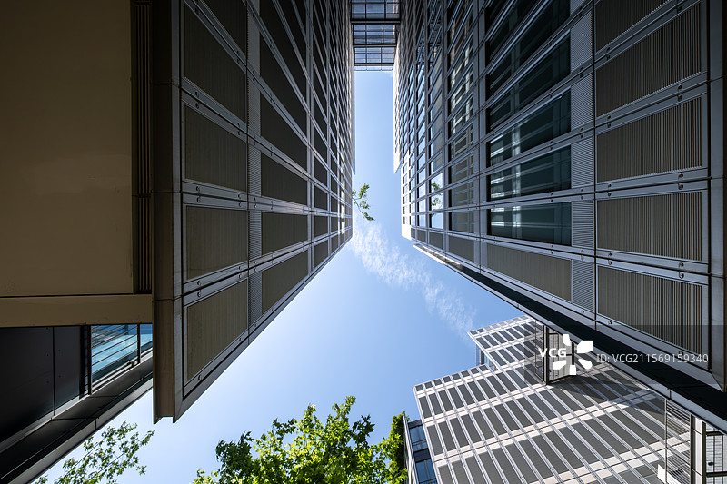 建筑群夹缝中向上望见蓝天与绿叶图片素材