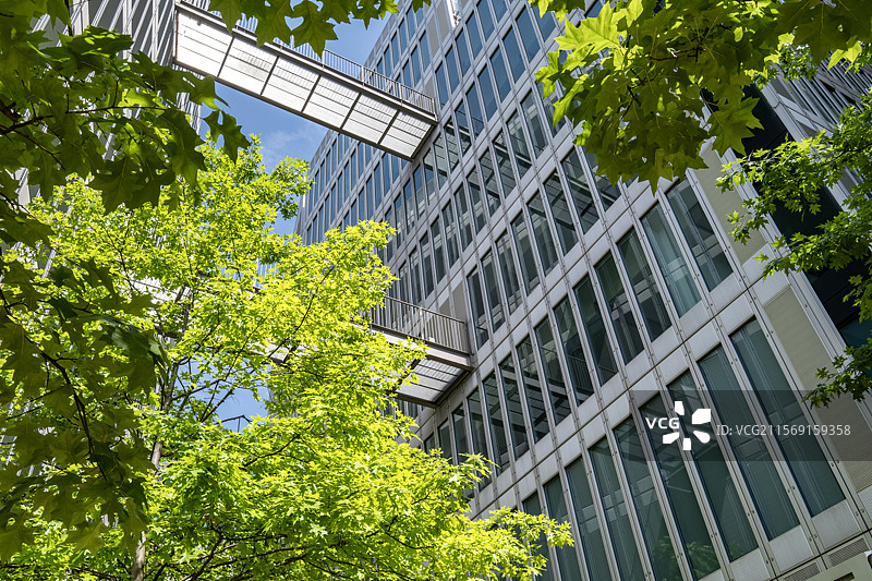 树叶包围下的现代连廊结构图片素材