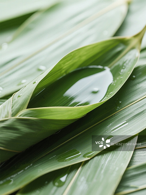 中国传统节日端午节粽叶粽子荷叶图片素材