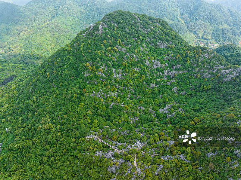 衢州三衢石林风景区图片素材