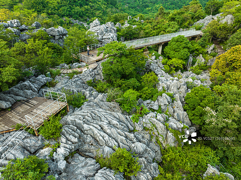 衢州三衢石林风景区图片素材