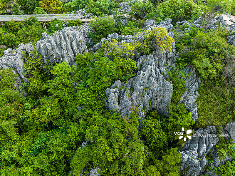 衢州三衢石林风景区图片素材
