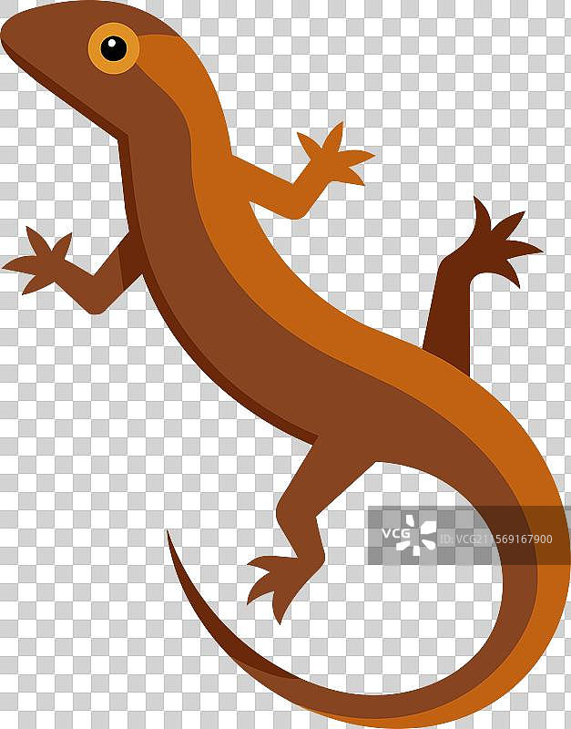 棕色安诺尔蜥蜴敲击图标图片素材