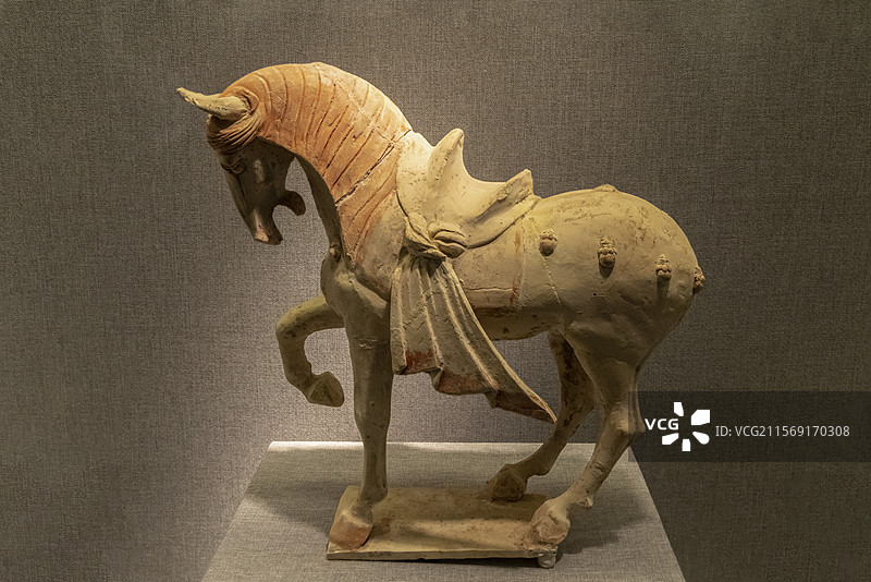 河南省洛阳博物馆“河洛文明展”：抬腿陶马（唐代，2001年洛阳文教局拨交，洛阳博物馆藏）图片素材