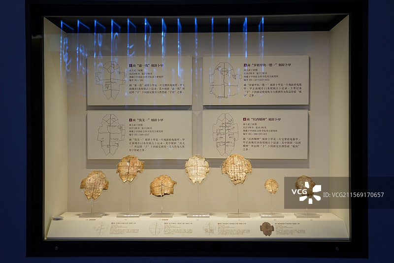 河南省 安阳市 殷墟博物馆 殷墟博物馆新馆 甲骨文 甲骨卜辞 卜甲 刻辞 商代刻辞卜甲图片素材