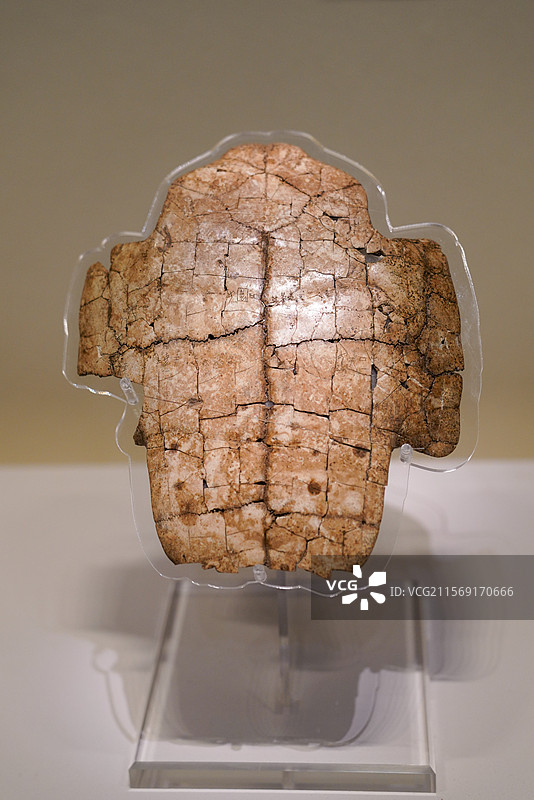 河南省 安阳市 殷墟博物馆 殷墟博物馆新馆 甲骨文 甲骨卜辞 卜甲 刻辞 商代 武丁时期 刻辞卜甲图片素材