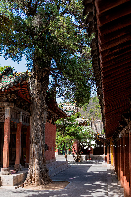 山西晋城古建筑陵川西溪二仙庙建筑群院落全景特写镜头图片素材