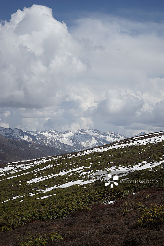 郎卡之心图片素材