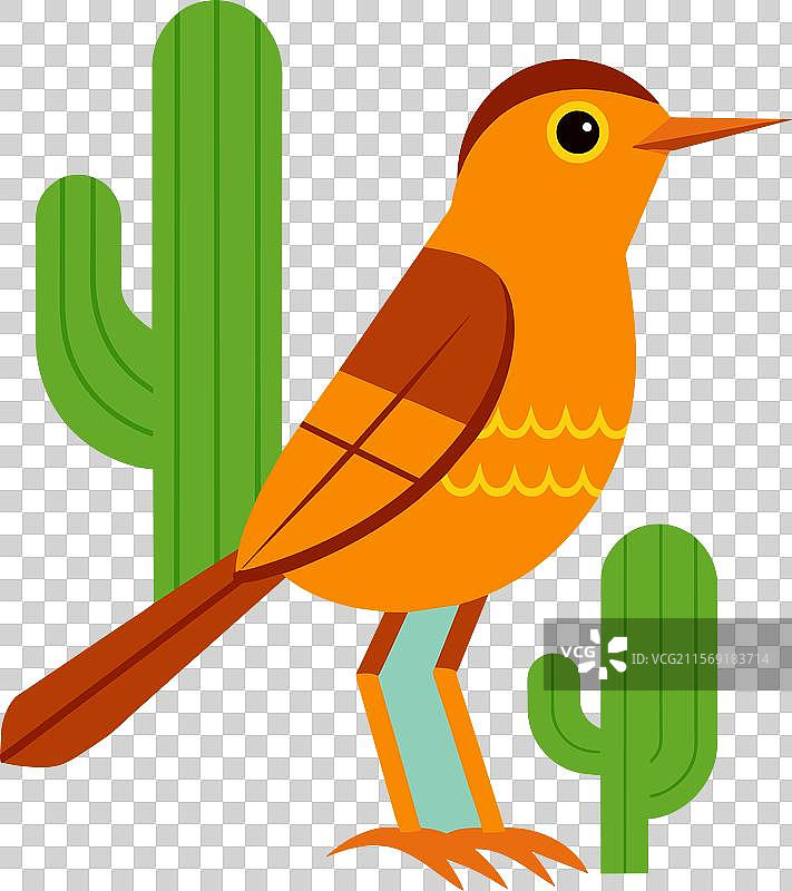 仙人掌鸣鸟站立图标图片素材