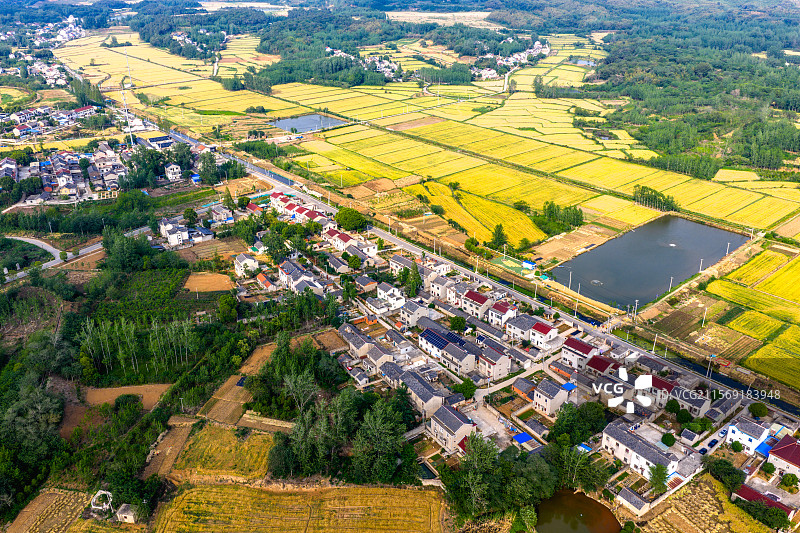 麦子即将成熟的南京六合新农村，江苏南京图片素材