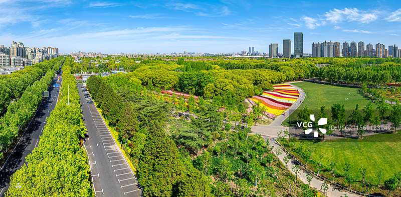 城市中央公园七彩花田金鱼草花盛开 航拍上海世纪公园与浦东嘉里城 人民城市为人民 城市绿洲生态环境保护图片素材