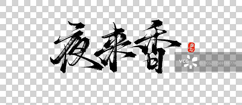 夜来香手写书法毛笔艺术字体素材图片素材