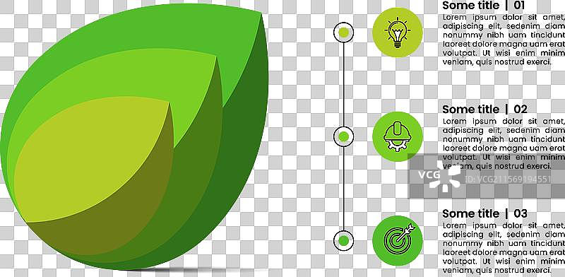 信息图模板 3 片植物叶子与图标图片素材