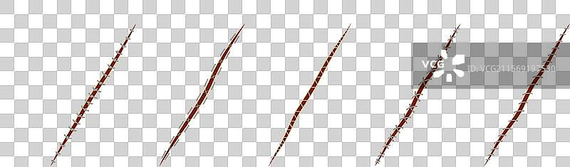 棒球缝线和红色鞋带与线圈图片素材