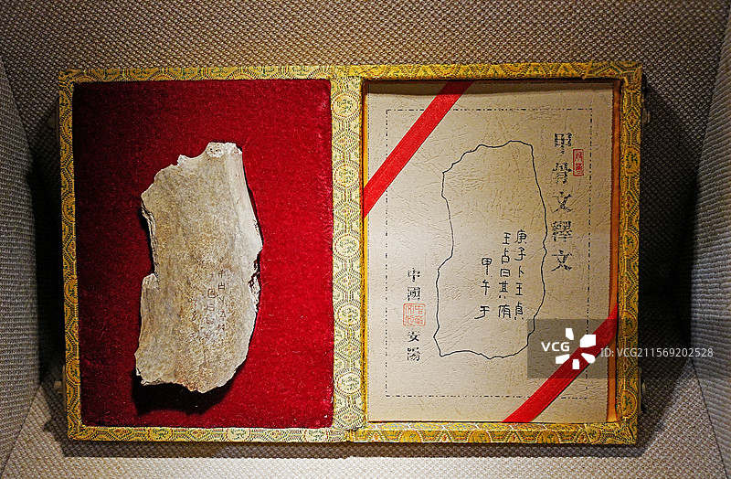 兽骨上的文字图片素材