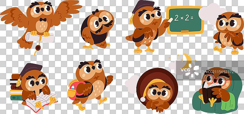 可爱的猫头鹰，搞笑的鸟类，智慧的象征和图片素材