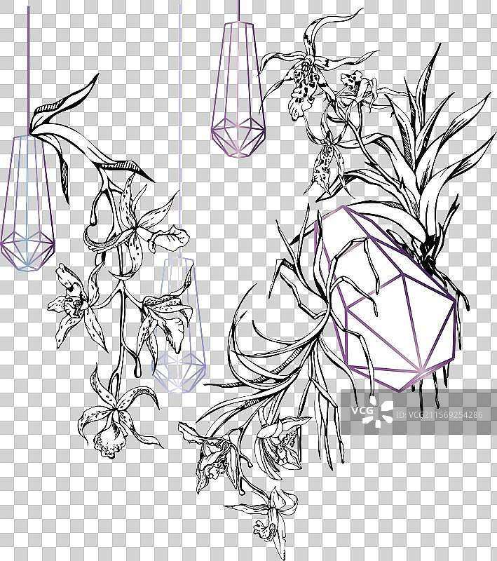 手绘墨水兰花和枝条图片素材