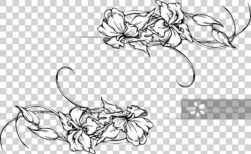 手绘墨水兰花及其枝条图片素材