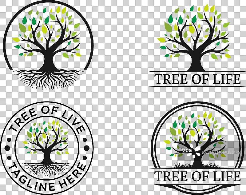 生命之树标志灵感套件（高级）图片素材