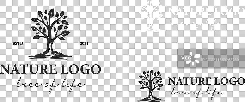 生态自然植物或生命之树复古标志图片素材