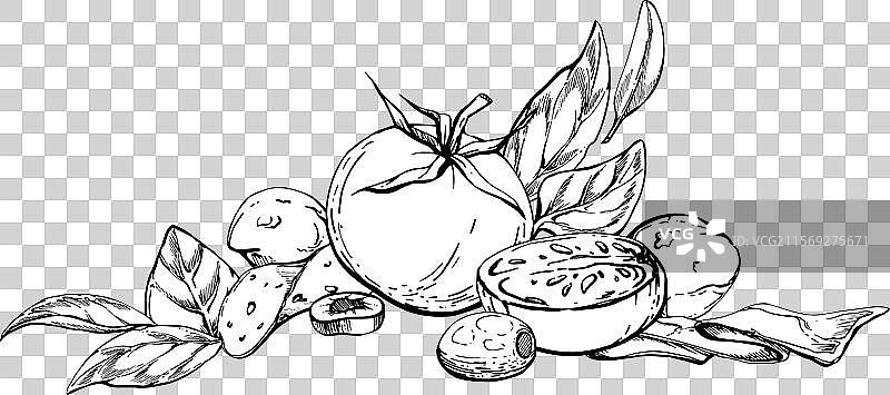 手绘墨水番茄香肠橄榄罗勒草药图片素材