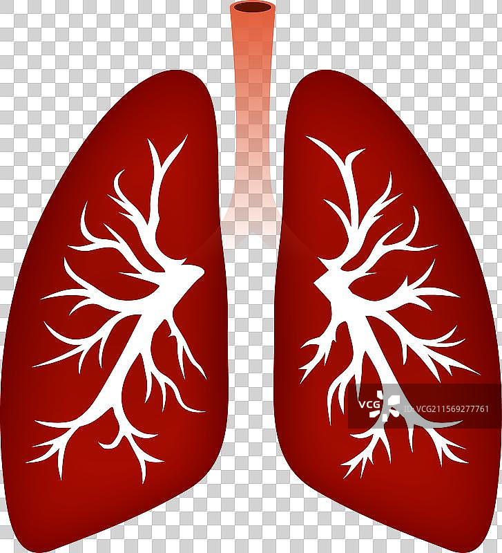 人类肺部呼吸器官诊断符号图片素材