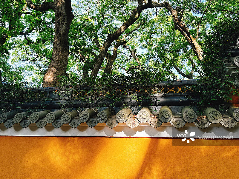 法雨寺图片素材