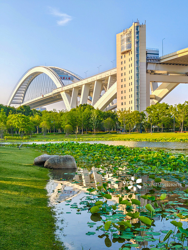 上海世博文化公园舞动广场荷塘荷叶与上海卢浦大桥倒影图片素材