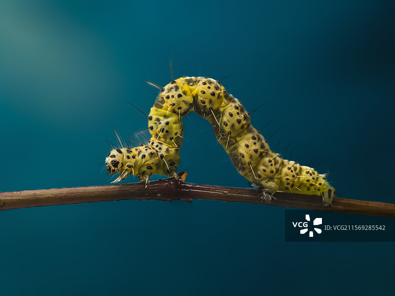 前进的动力图片素材