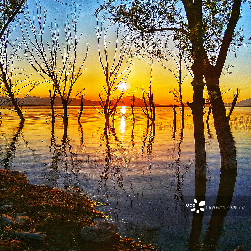 与太阳共舞图片素材