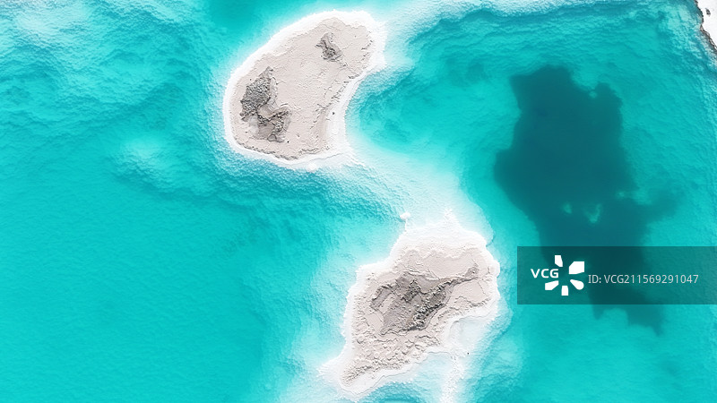 翡翠湖:蛇扭龙鱼图片素材