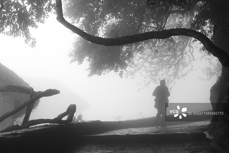 雾中的身影图片素材