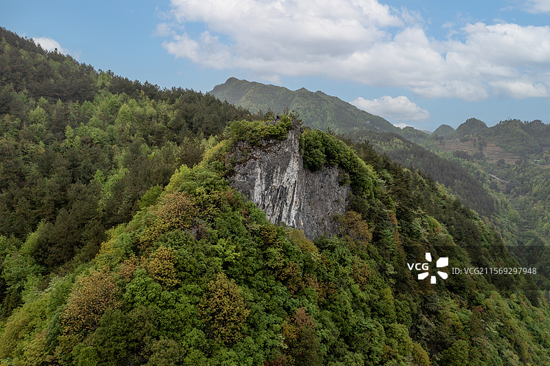 贵州茂密植被森林里山顶图片素材