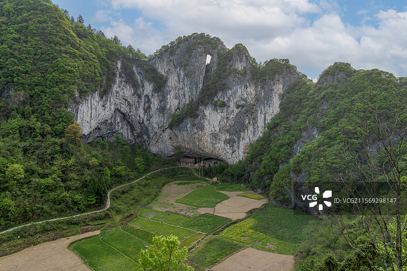贵州茂密植被森林里山顶图片素材