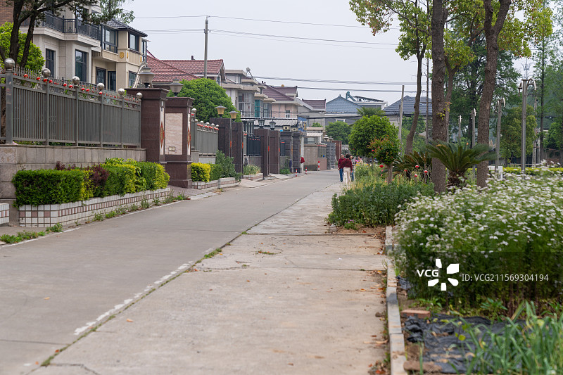 江苏镇江扬中---河豚之乡--故乡印象图片素材