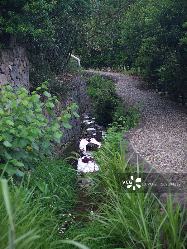 步道中树木中的水沟的高角度视图图片素材