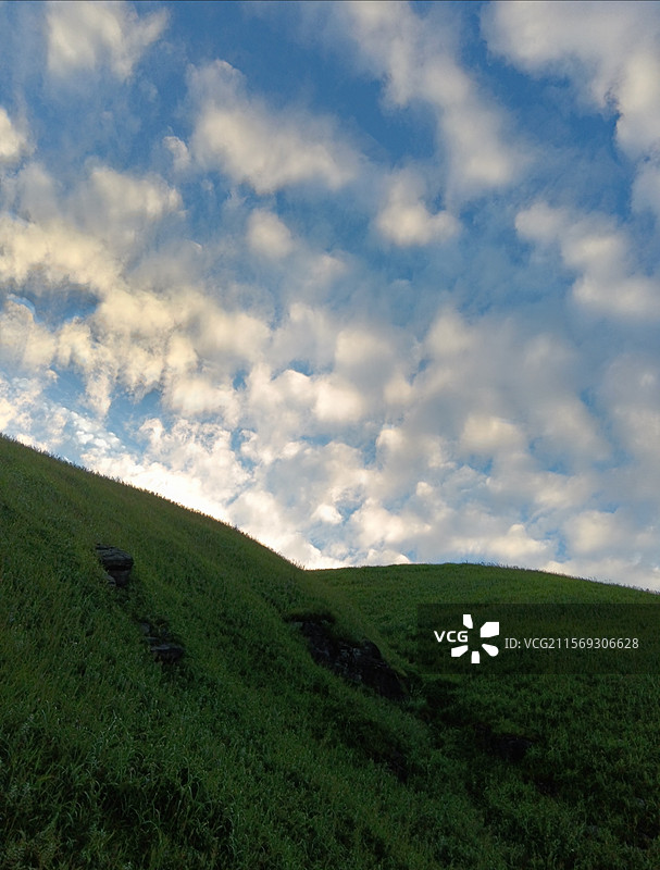天空草地图片素材