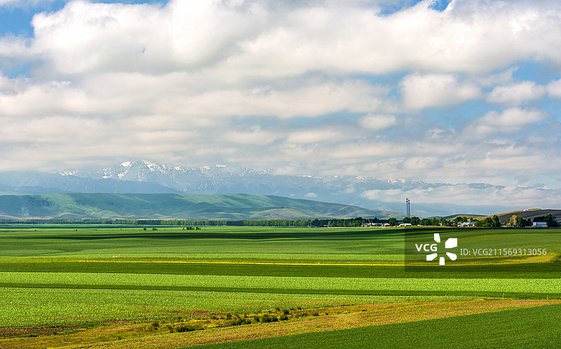 种满希望的土地图片素材