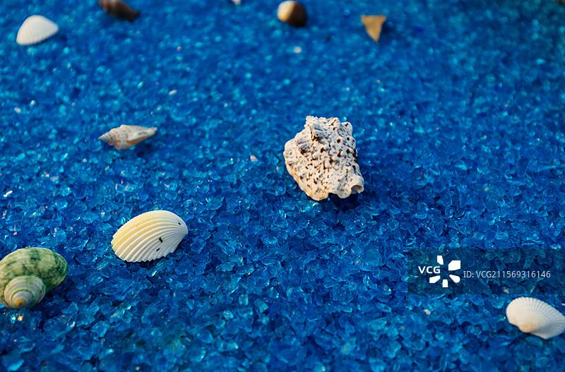 散落在蓝色沙滩上的各种贝壳图片素材