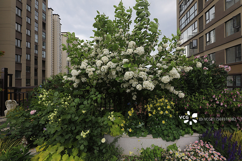 露台花园图片素材