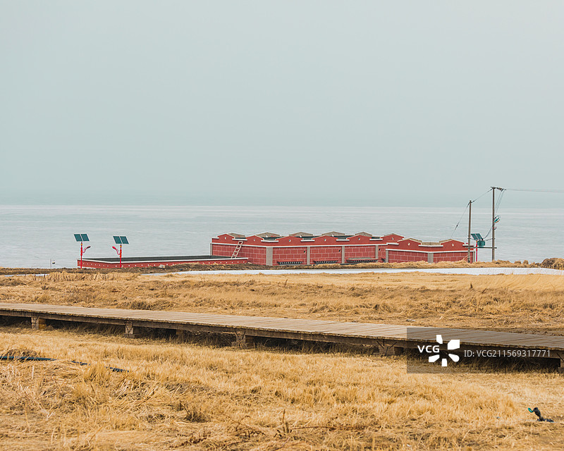 秋冬天的青海湖风光，枯黄的颜色和小木屋图片素材