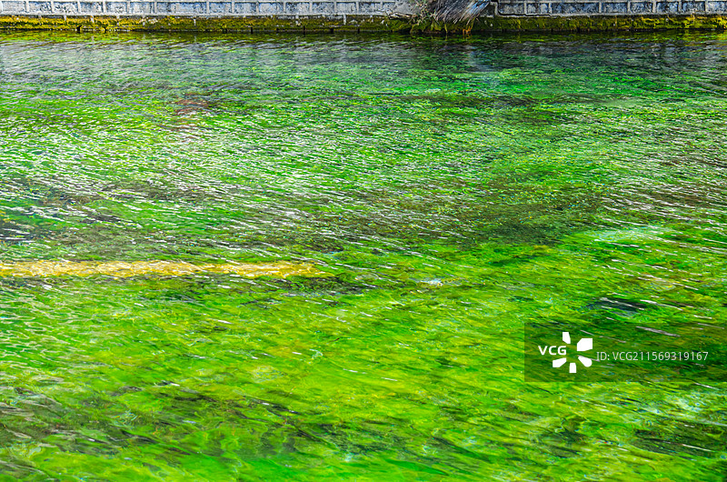 中国山西临汾洪洞县广胜寺旅游风景区，山西名泉霍山霍泉汹涌的喷涌出泉水，户外白昼无人图像摄影图片素材
