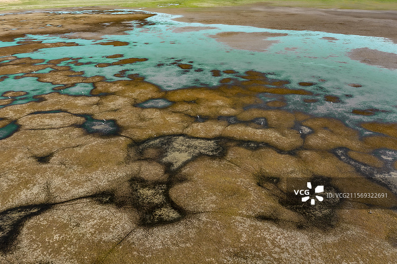 玛纳斯国家湿地公园8图片素材