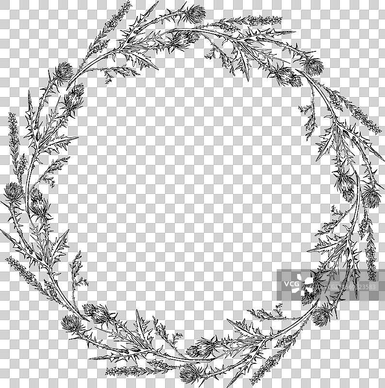 手绘墨水花卉圆形图案图片素材