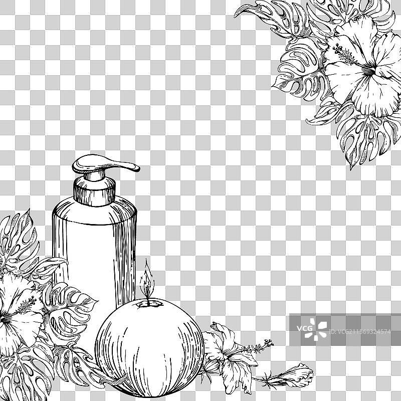 手绘墨水风格的水疗护肤浴室美容产品图片素材